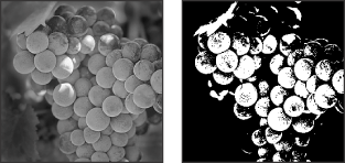 Original grayscale image, and 50% Threshold conversion method