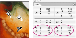 Color samplers and Info palette