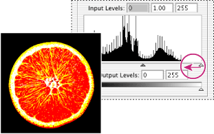 Image preview in Threshold mode.