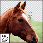 The background eraser tool erases areas to transparency by dragging.