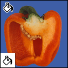 The paint bucket tool fills similarly colored areas with the foreground color.