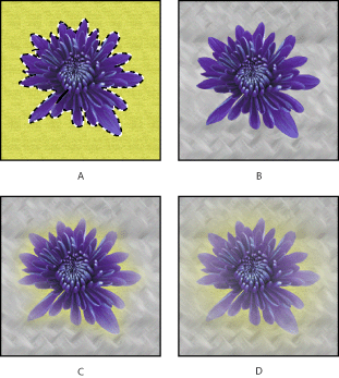 Illustration of Selection without feathering and with feathering with these callouts: A. Original selection B. Feather: 0 C. Feather: 10 D. Feather: 30