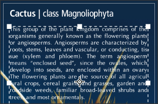 Type entered as point type (top) and in a bounding box